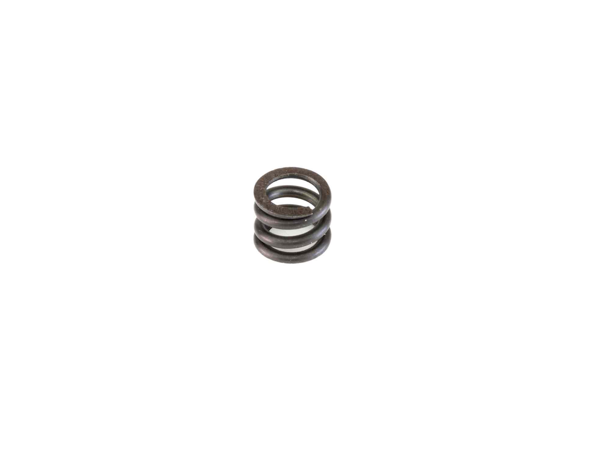 INF1NITY CLUTCH SPRING (TG Clutch)