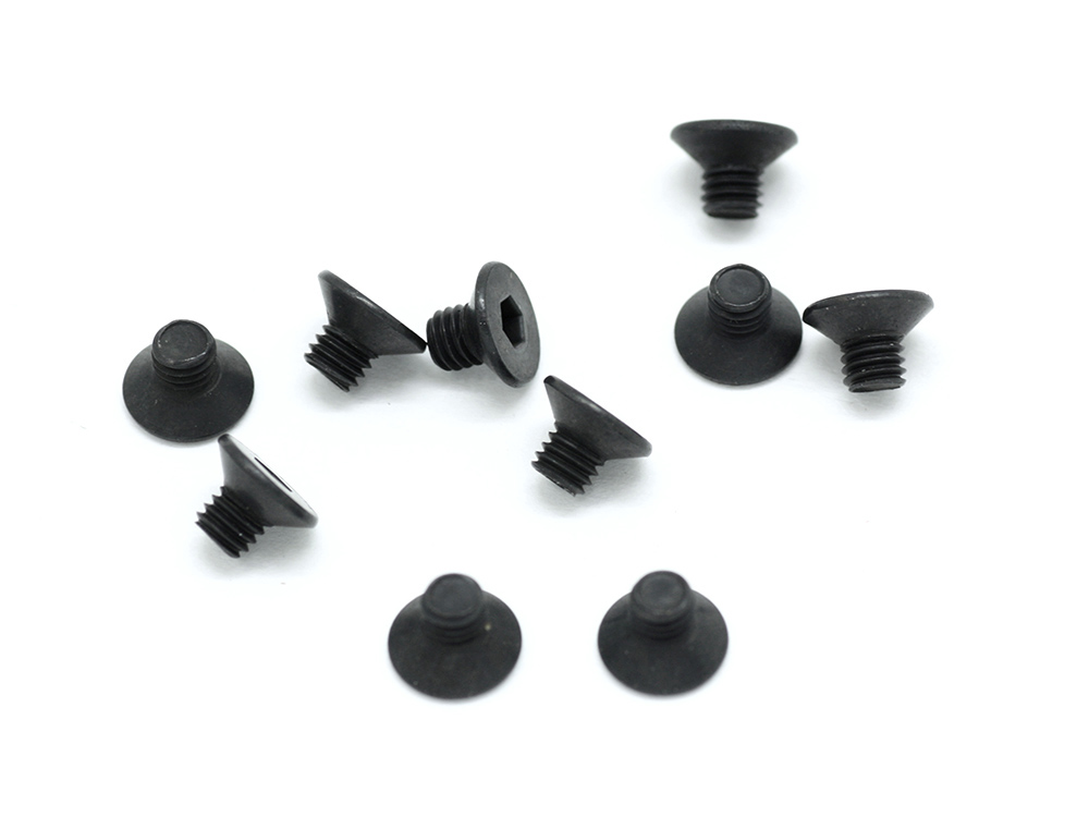 SWORKz FH/ST Screw M3x3mm (10)